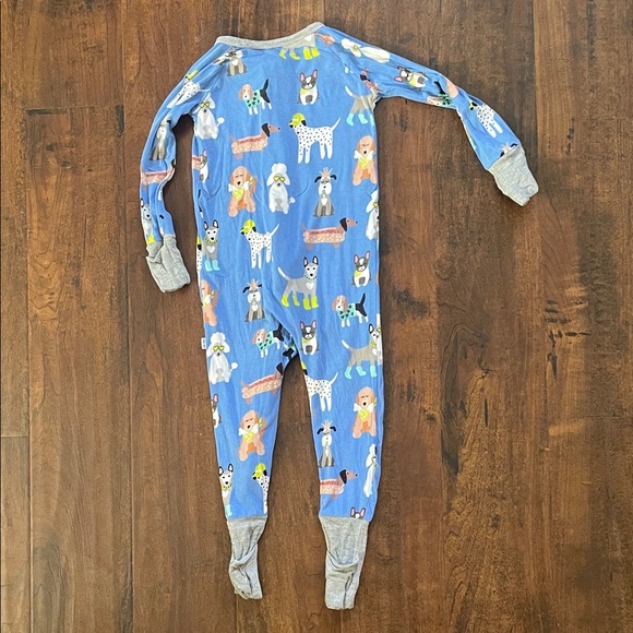 LS Dapper Dogs zippy - Picture 3 of 4